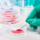 Illustration for article titled Lab-grown meat prefers to be referred to as “cell-based,” thank you em/em
